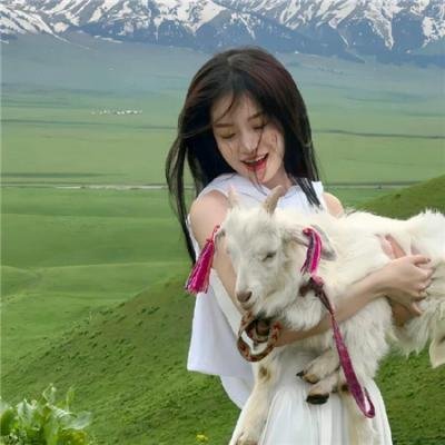 佐贺偶像是传奇 卷土重来